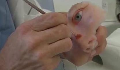 亲人去世到底能请几天假？