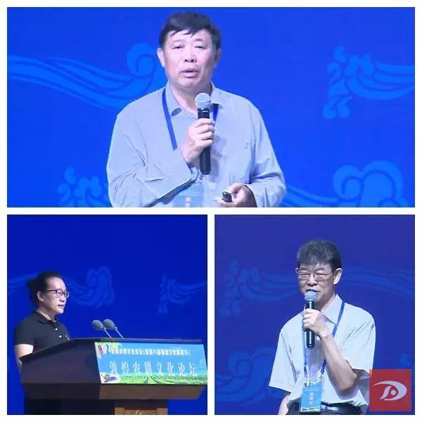 夏利车友会：经典车型背后的情怀与传承，车友会如何延续老车生命力？