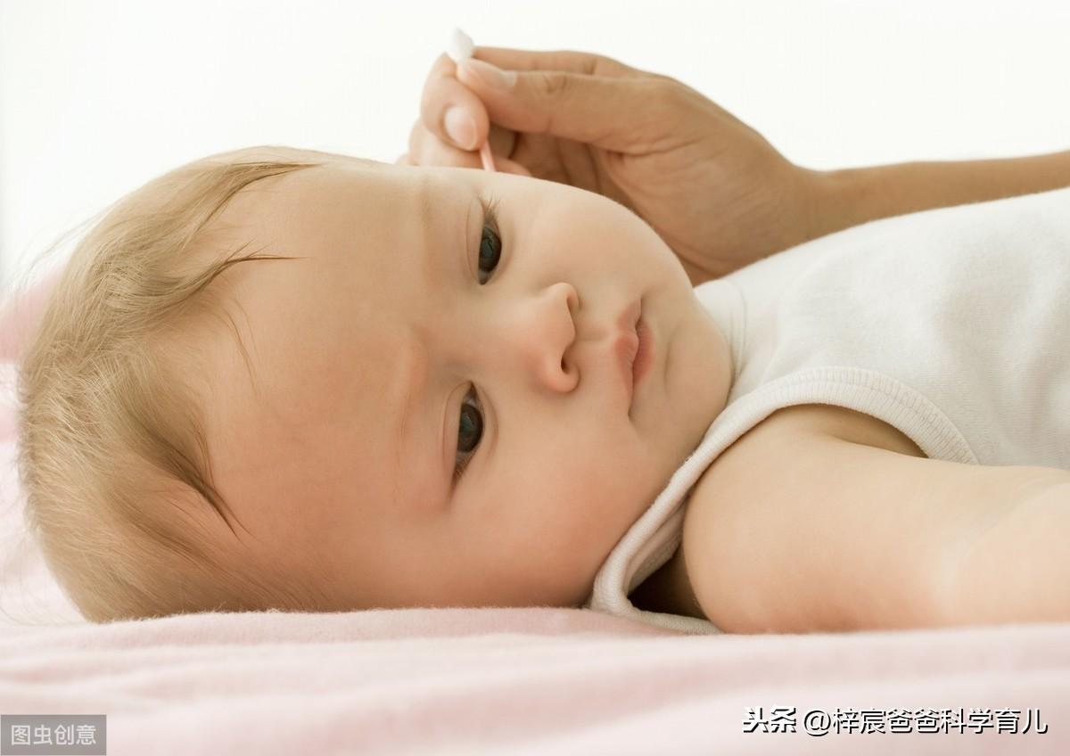 你家猫主子最近总挠耳朵？当心蚊子搞事情！