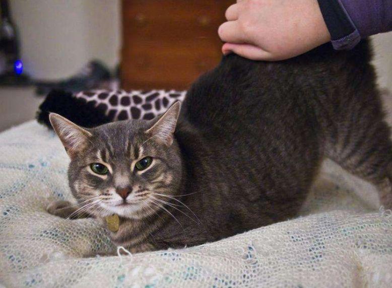 长城C50现在多少钱能拿下？新手必看报价与实拍图解析