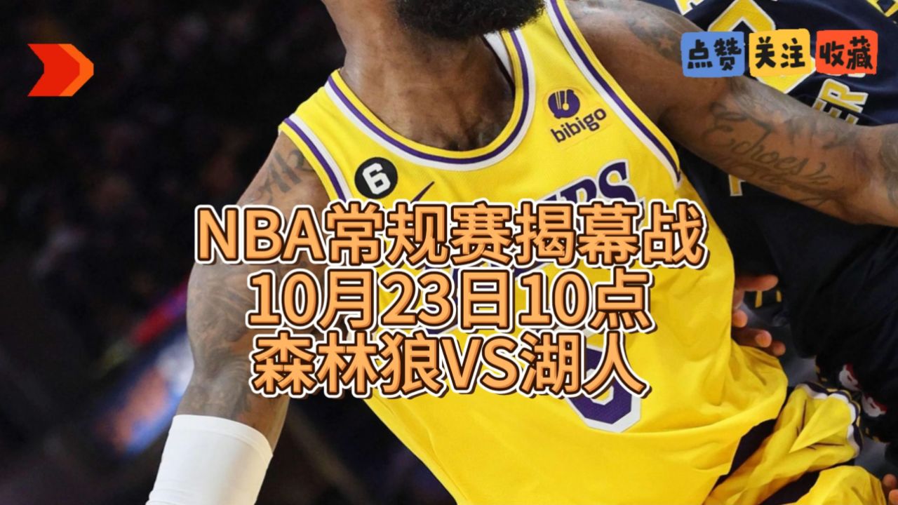 湖人森林狼季后赛直播，高清无卡顿观看攻略在此