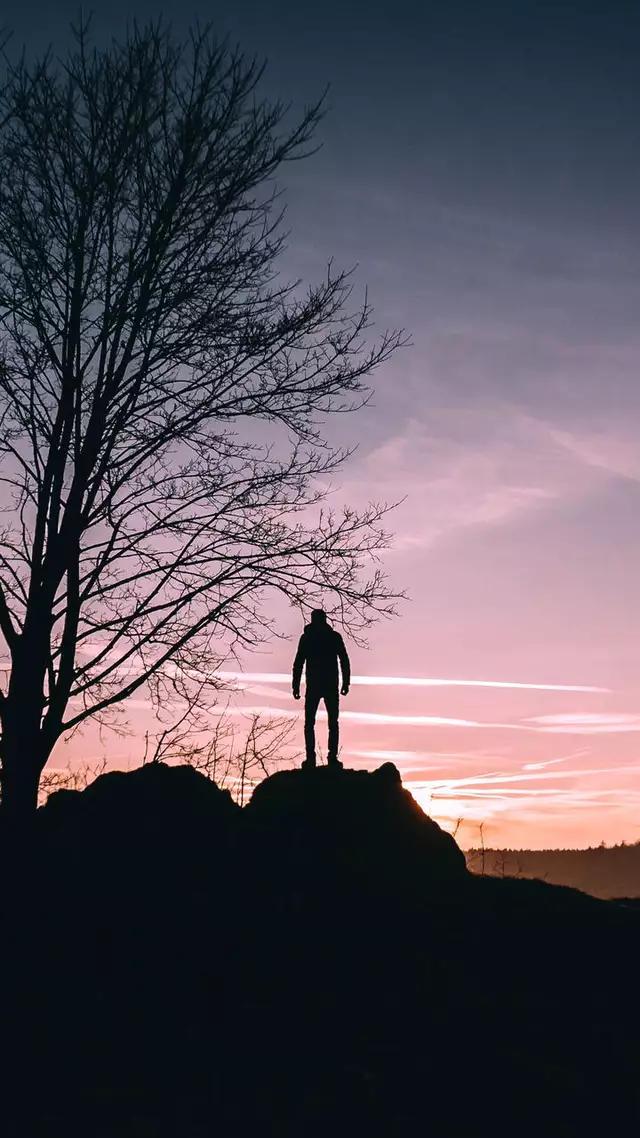 给猫穿狮子装会不会让它觉得我是个傻子？