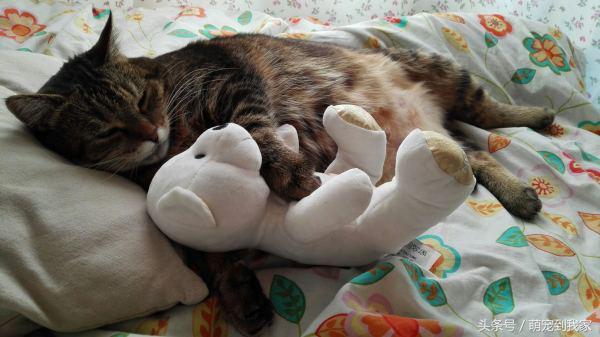 怎样才能批发到又好又便宜的化妆品和护肤品