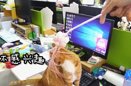 主子偷吃你剥的橘子时要不要立刻阻止? 主子偷吃你剥的橘子时要不要立刻阻止?