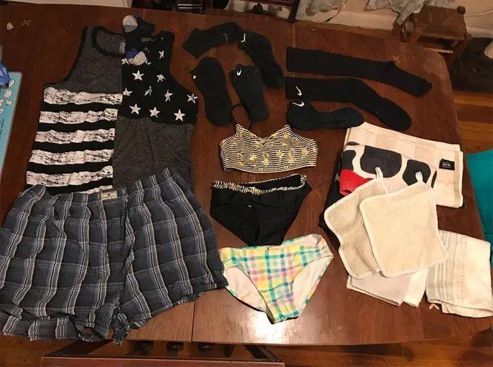 新手如何在猫咪最新社区三天升到10级？