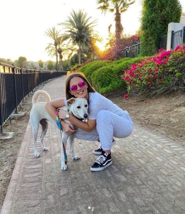 带主子坐飞机会被空姐赶下飞机吗？