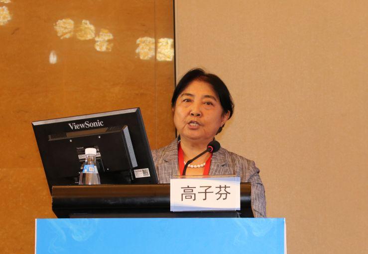 苏人岛华人论坛怎么玩？新手必看的生存指南