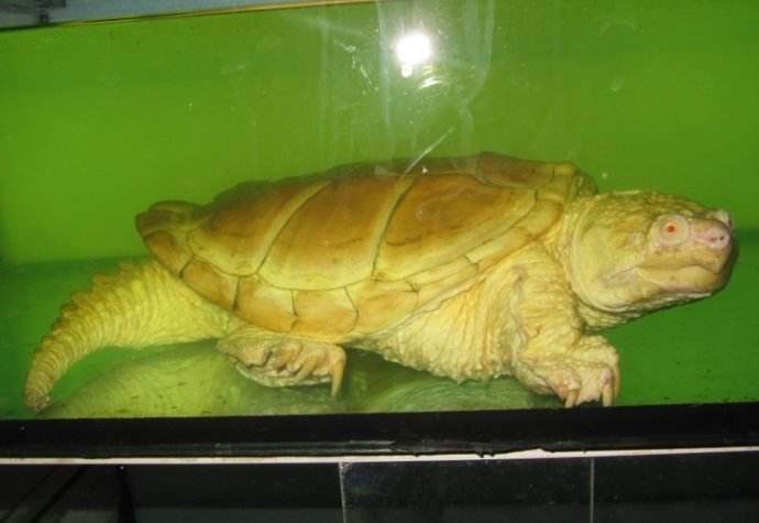 皇马 VS 巴伦西亚，最新资讯