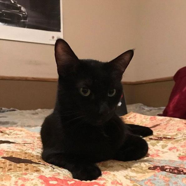 12亿打水漂！切尔西曼联争五都费劲，PSR真比窦娥还冤？