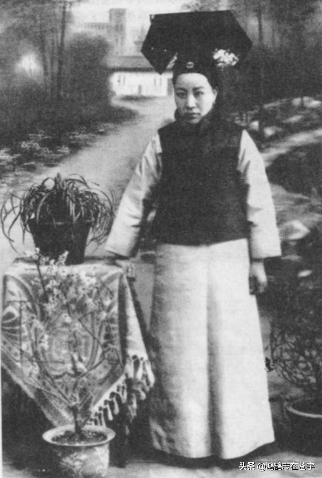 猫妈妈奶水不足会饿死小猫吗？