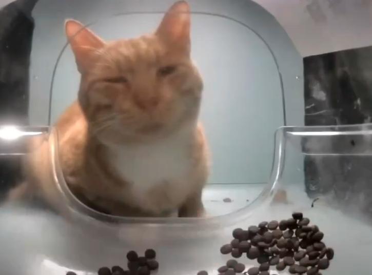 你眼角那颗痣藏着什么秘密? 你眼角那颗痣藏着什么秘密?