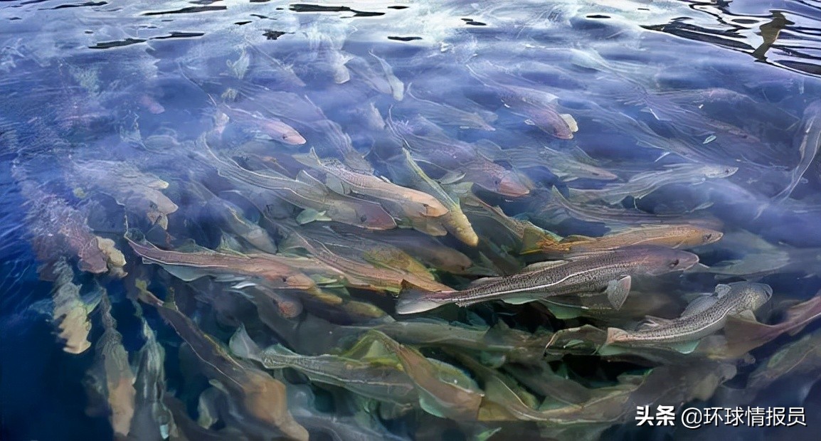 欧洲直播球赛_欧洲赛事直播平台_世外欧洲比赛直播