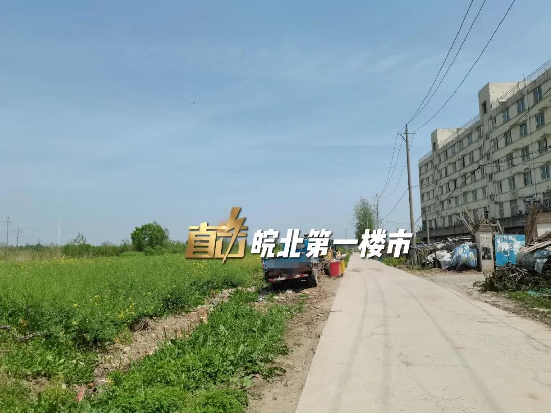 在巴黎买二手车怎么避开那些坑？华人论坛老司机手把手教学