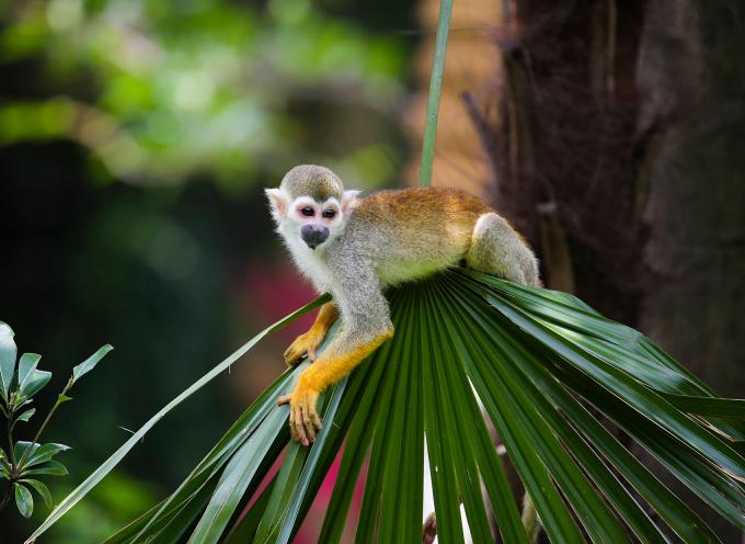 欧蓝德劲界真是新手的第一台SUV最优解吗? 欧蓝德劲界真是新手的第一台SUV最优解吗?