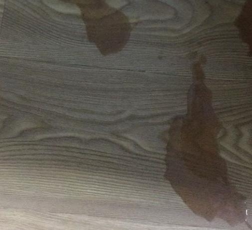 托兰佐新手如何快速上手？