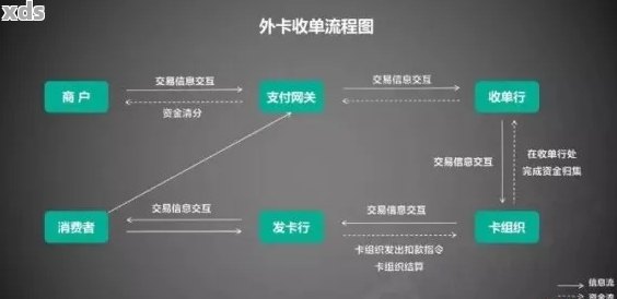 【双币信用卡使用方法】境外消费、还款全攻略，新手必看