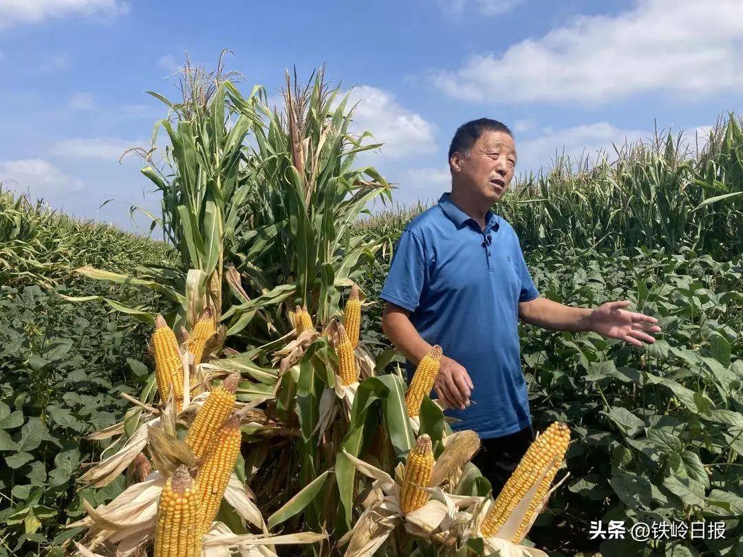 劳斯莱斯幻影II如何省下百万购车预算？避坑指南里的200万省金术