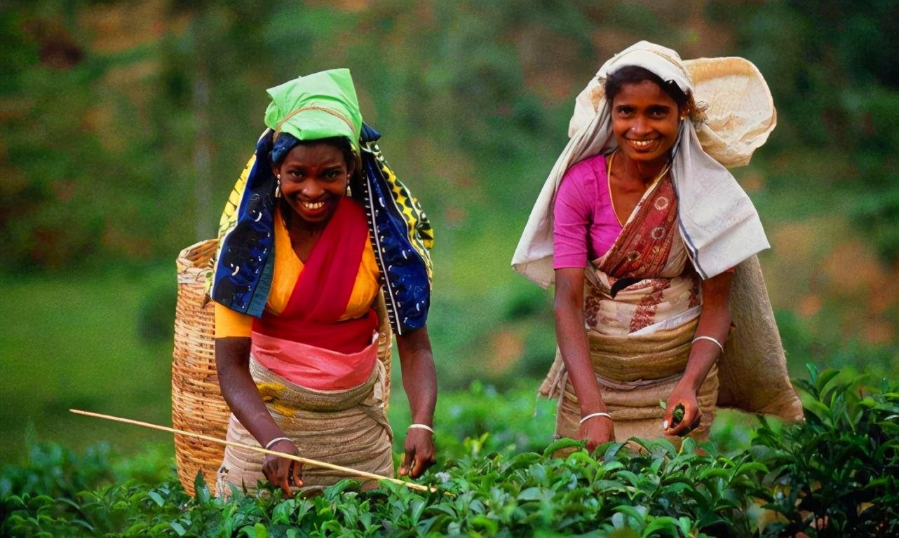 CCTV5央视体育客户端官方版