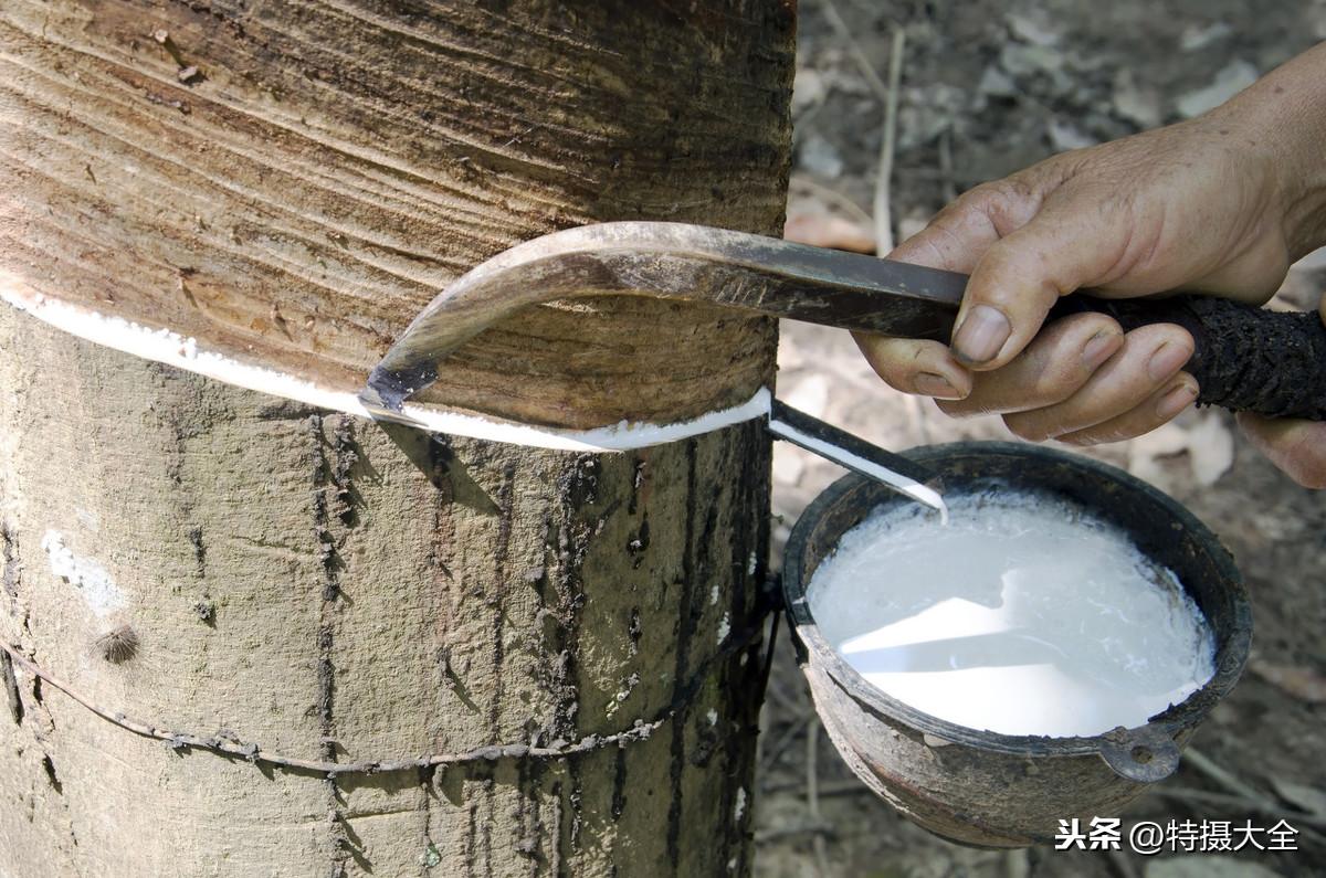 为什么东南亚工人总来中国打工？