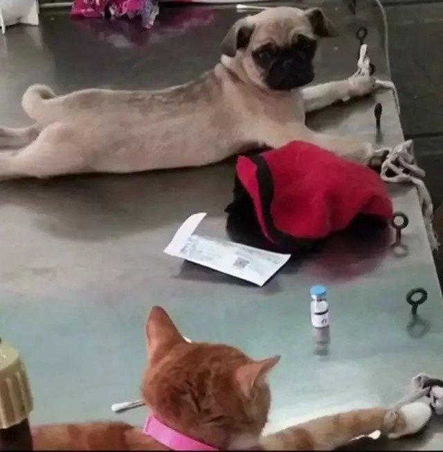 梦见饭桶装满饭预示什么？2025年财富密码全解析