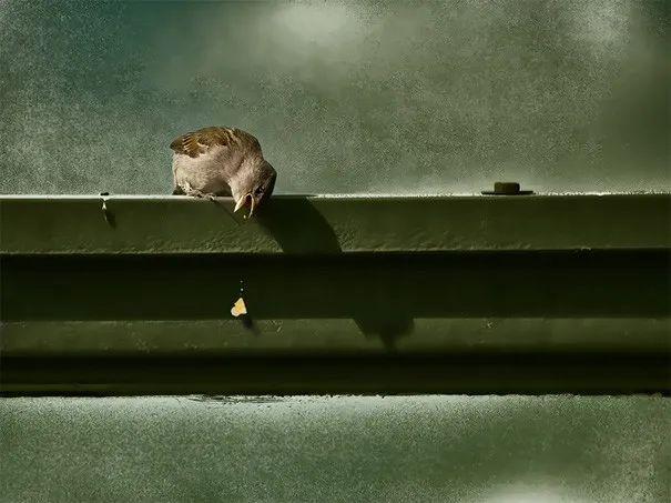 华人论坛hao365到底怎么用才能不踩坑? 华人论坛hao365到底怎么用才能不踩坑?