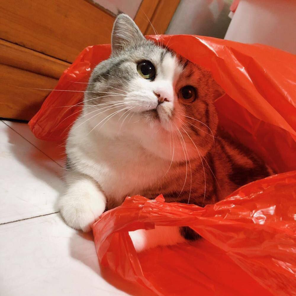 奔驰GL级AMG:性能与豪华的终极结合,为何成为高端SUV市场标杆? 奔驰GL级AMG:性能与豪华的终极结合,为何成为高端SUV市场标杆?