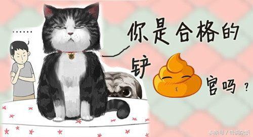 你家猫主子真的需要定期换猫粮吗？