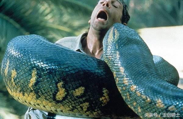 猫咪的智商能碾压两岁小孩吗？