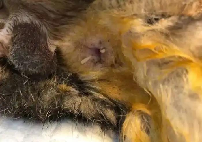 八卦风水学神断