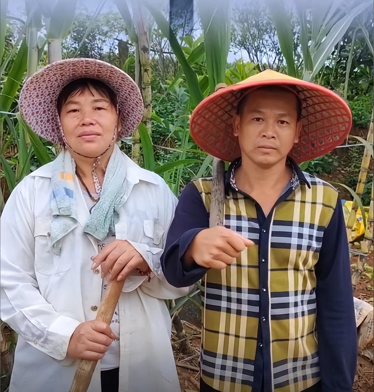 奥运冠军全红婵家被台风掀屋顶？普通人遇到台风该咋办？