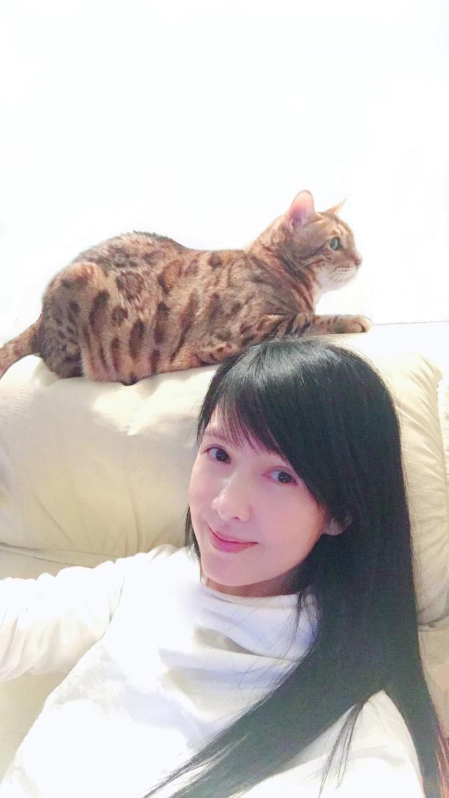 转世的猫咪真的能找到吗？