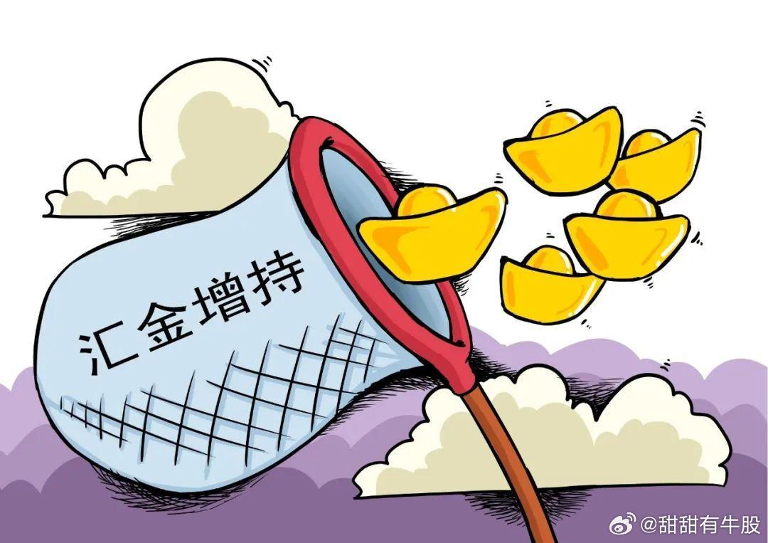 汇金增持对股市的影响值得关注吗？资深股民分享真实感受和应对方法