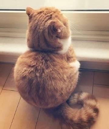 日产精品乱码卡一卡2卡三：流量套餐乱收费如何破解？一卡三用省300元 提速30天