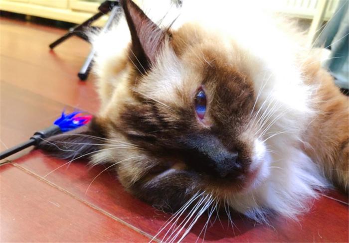 汽车之家的报价为什么总让人看不懂? 汽车之家的报价为什么总让人看不懂?