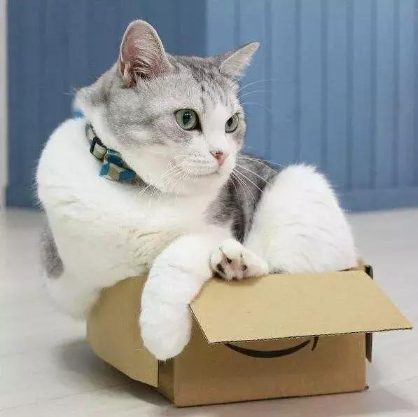 梦见眼眉长杂毛预警事业危机？2025解梦数据揭秘运势裂变