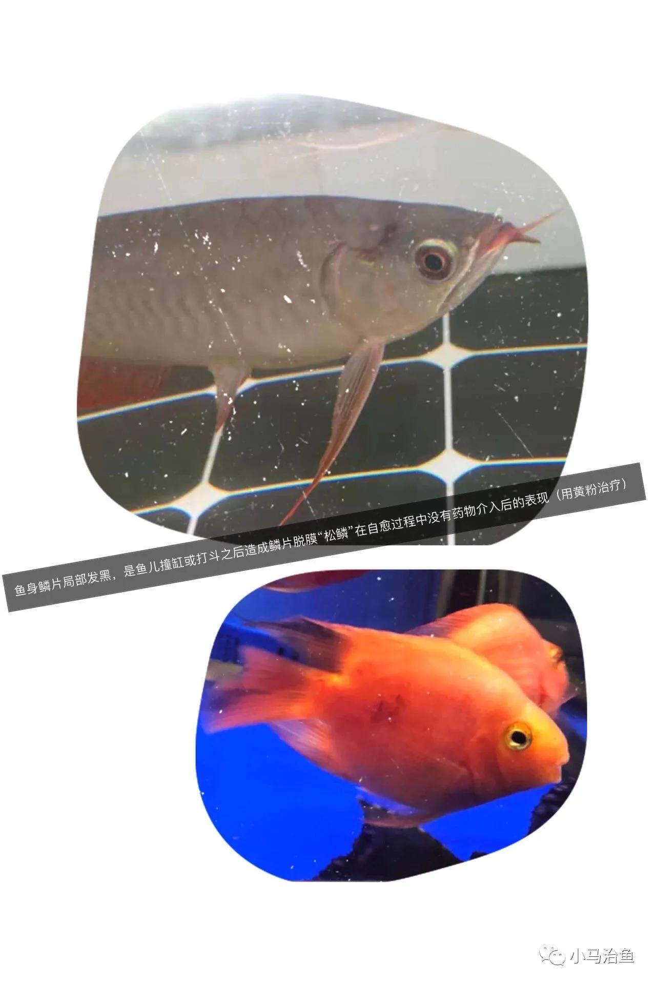 QQ算命能算出你的未来吗？