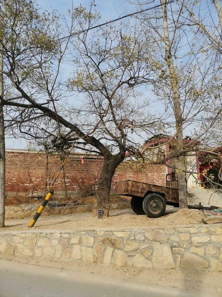 梦见下雪是老天爷在发信号吗？