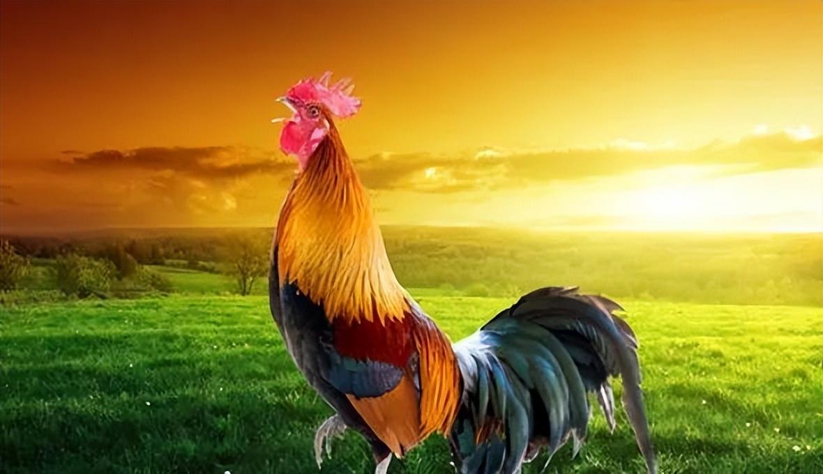 蒙迪欧致胜2.3真的值得买吗 油耗高、配件贵背后藏着哪些省万元技巧 蒙迪欧致胜2.3真的值得买吗 油耗高、配件贵背后藏着哪些省万元技巧