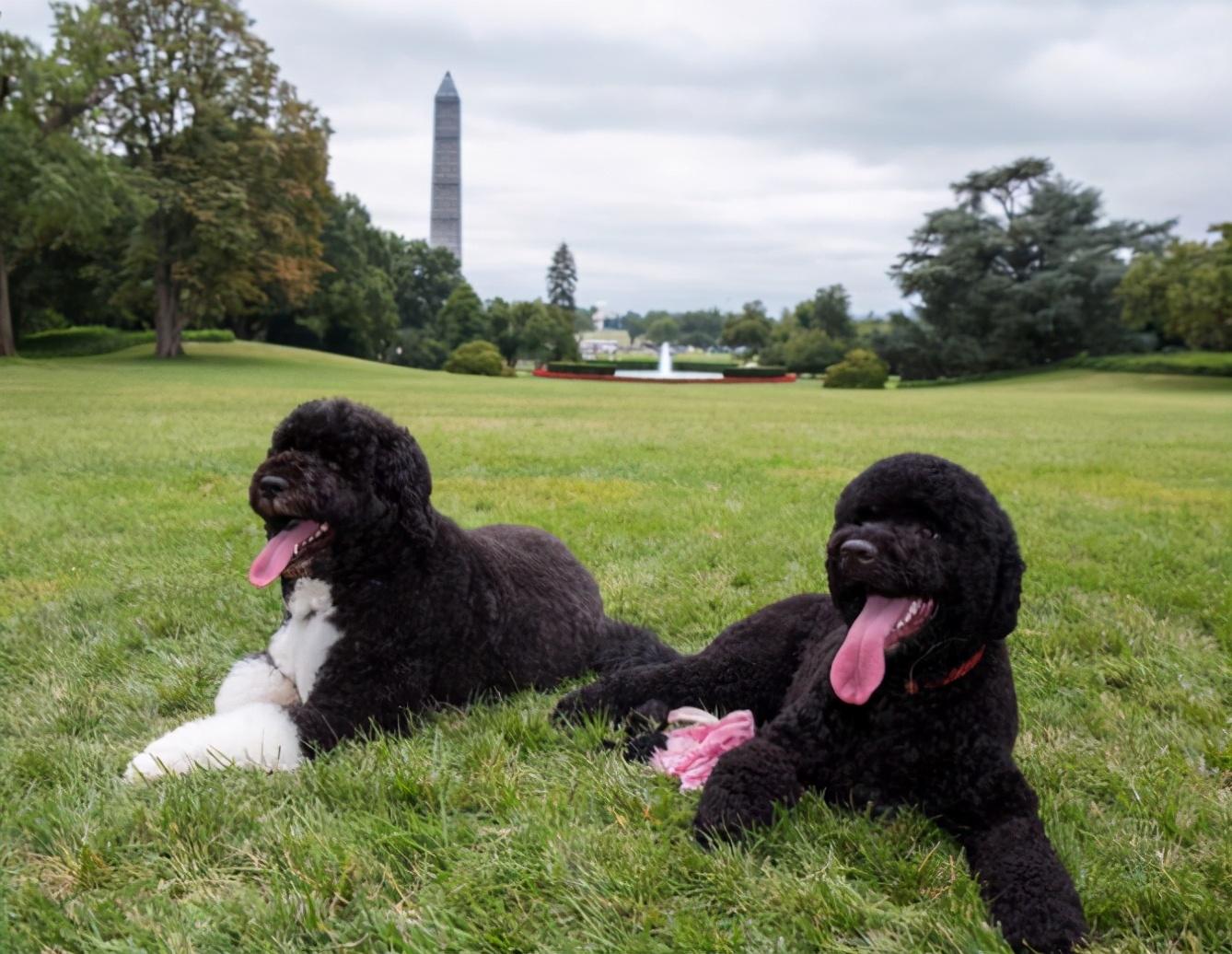 游戏里的2013年1月12日藏着什么彩蛋? 游戏里的2013年1月12日藏着什么彩蛋?