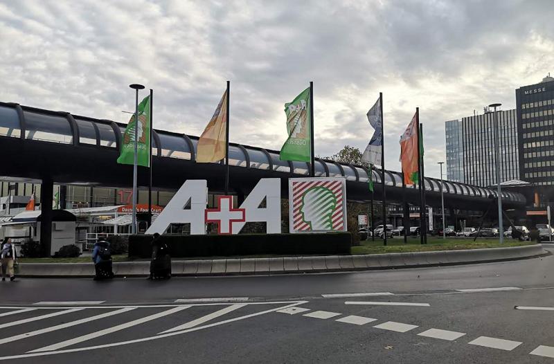 在德国生活找不到组织怎么办？