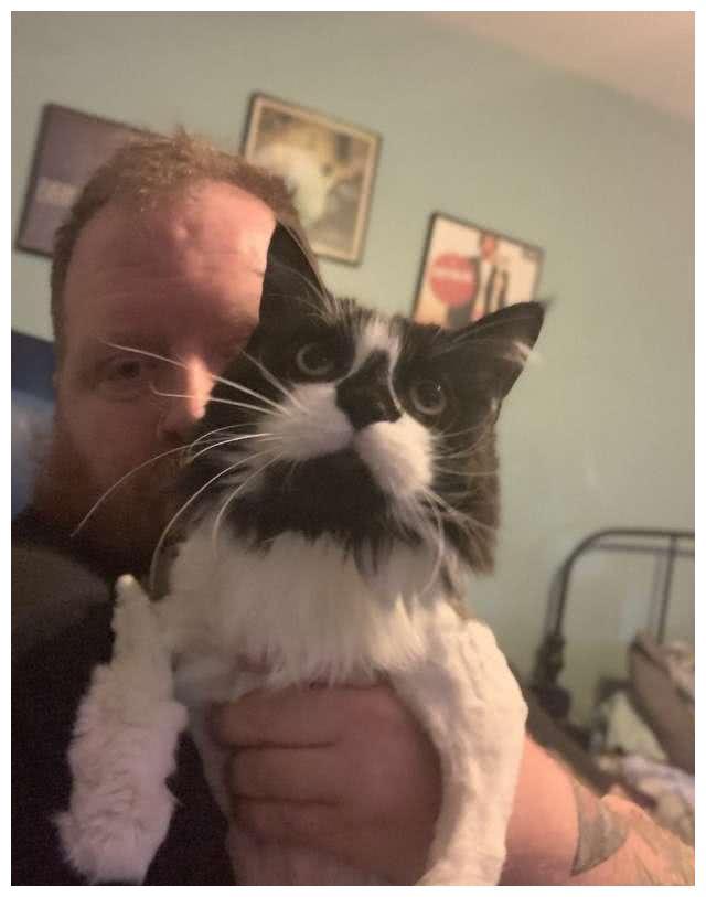 你家猫主子最近乱啃家具了吗？