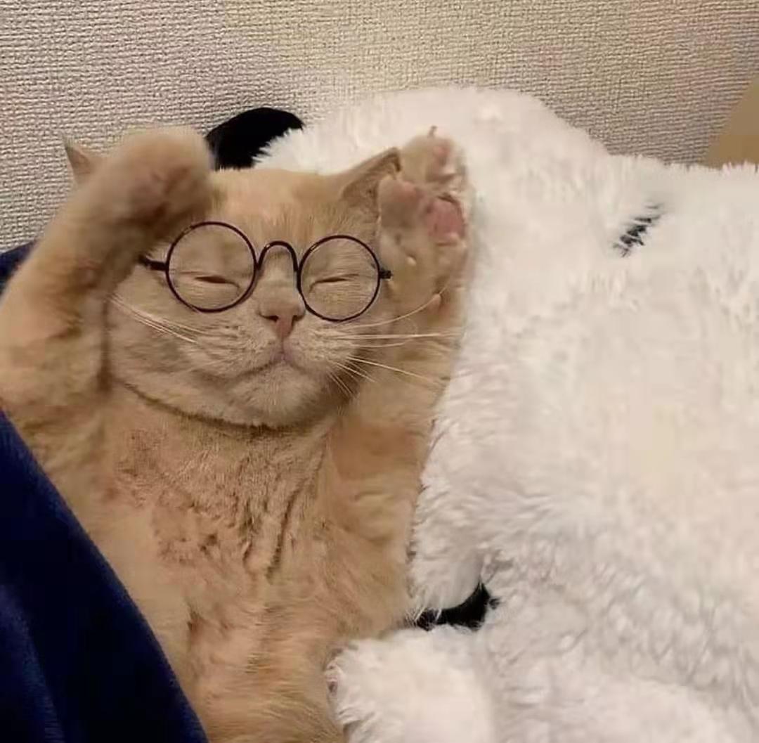 猫咪突然秃了一块？可能是脓皮症在作祟！