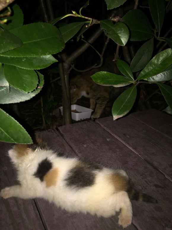 起亚K3二手车值得买吗？