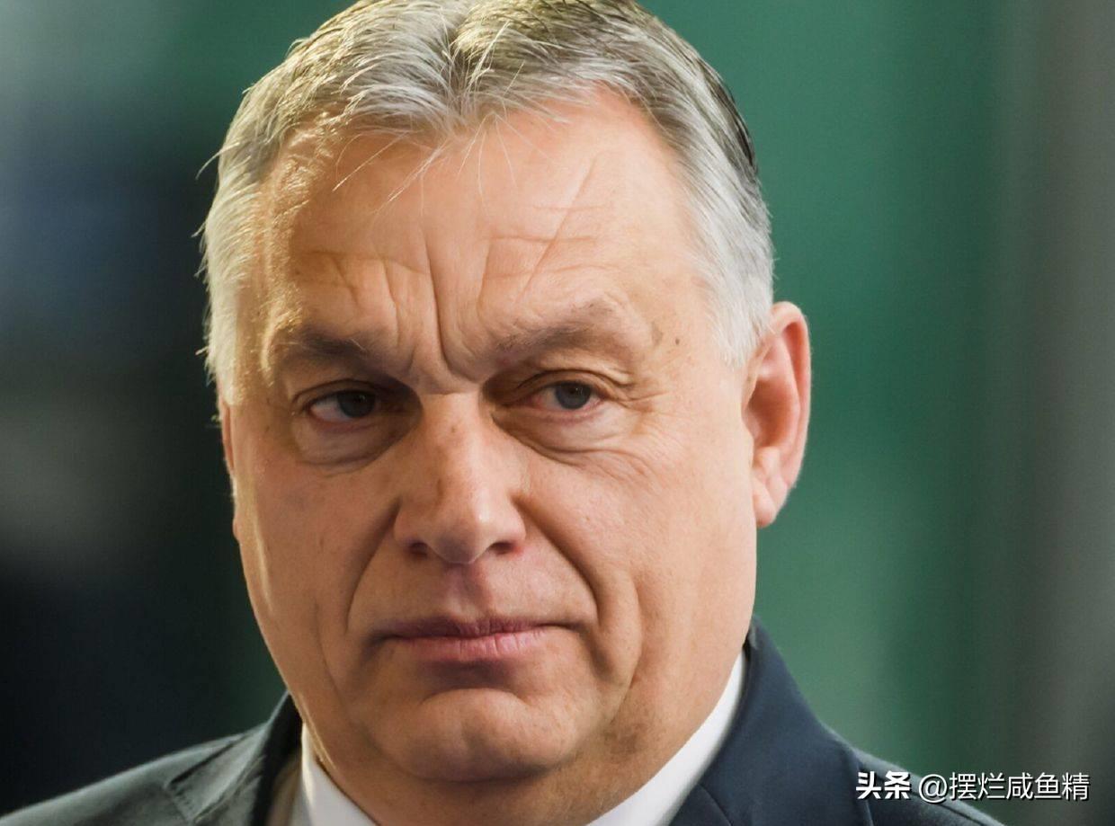 奥地利华人论坛能帮你解决哪些生活难题？