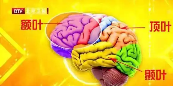 梦境与大脑区域的关系_人为什么会做梦_做梦梦到梦中梦中梦是什么意思