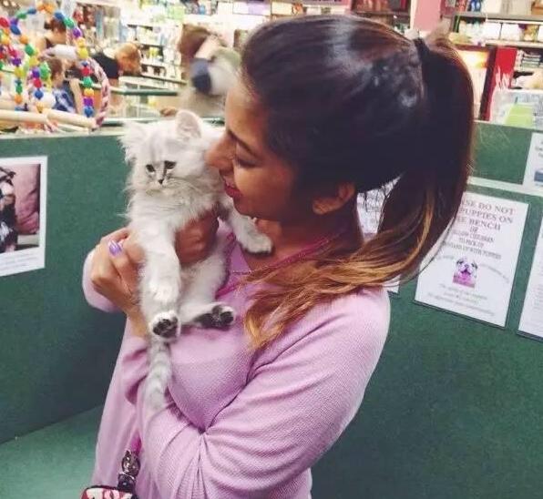 如何让陌生猫咪主动蹭你? 如何让陌生猫咪主动蹭你?