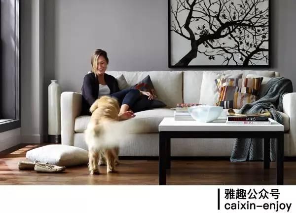 你家猫主子最近总啃绿萝？别慌！这可能是它在自救！