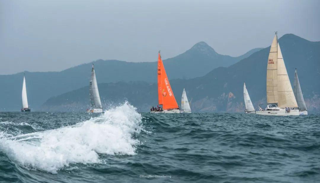 猫咪肛门发红到底要不要紧? 猫咪肛门发红到底要不要紧?