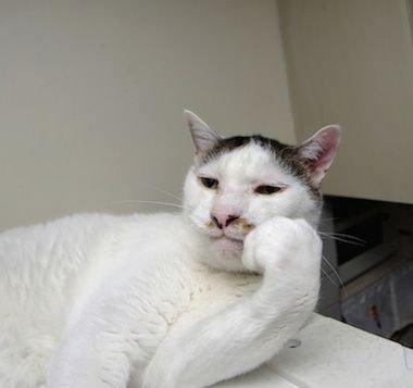 2012年2月29日究竟藏着什么秘密？