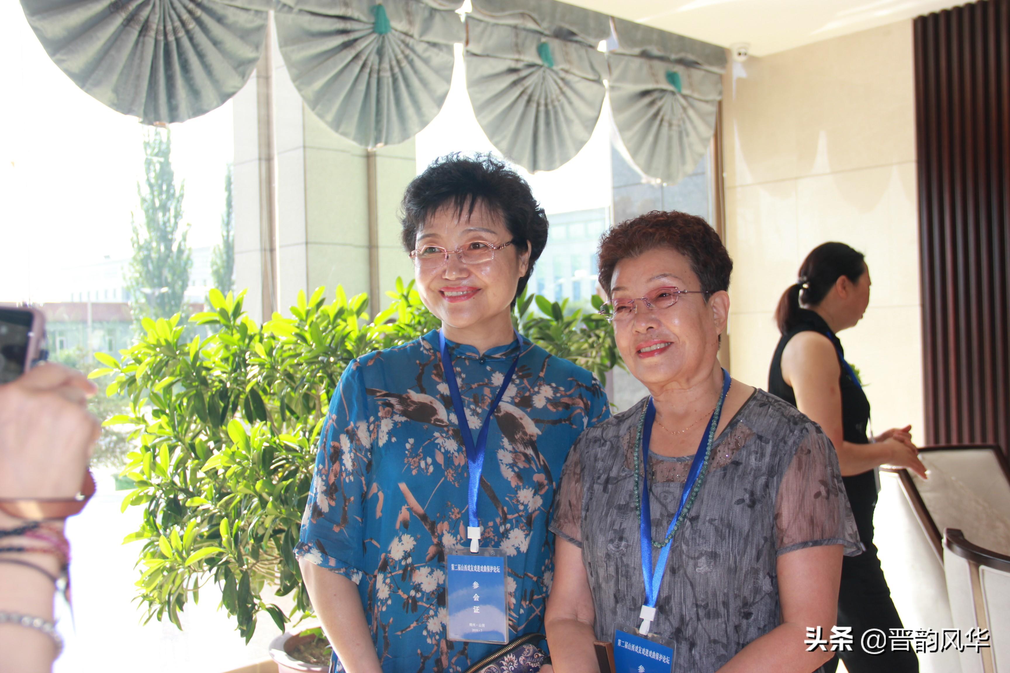 第一次养猫该选什么品种？这8种猫咪新手最容易上手！